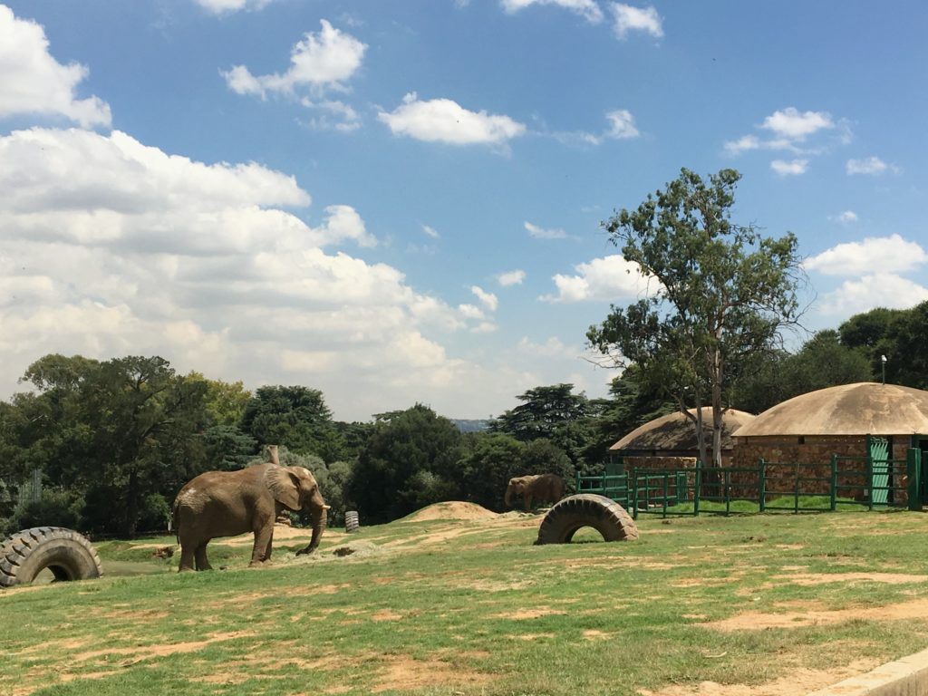 Zoo Johannesburg 3