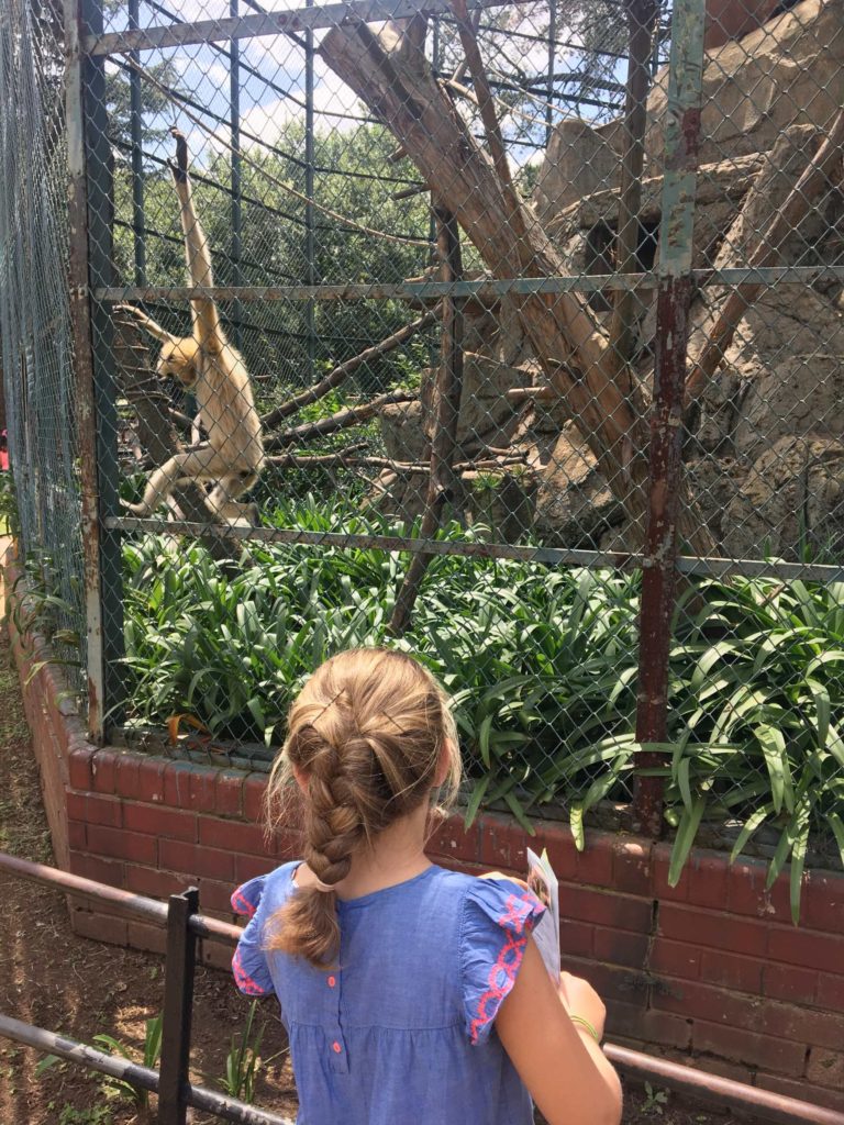 Zoo Johannesburg 8