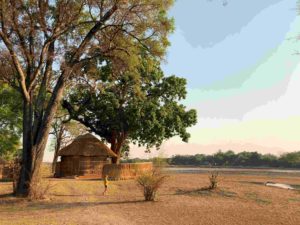 Mchenja Bush Camp Zambie