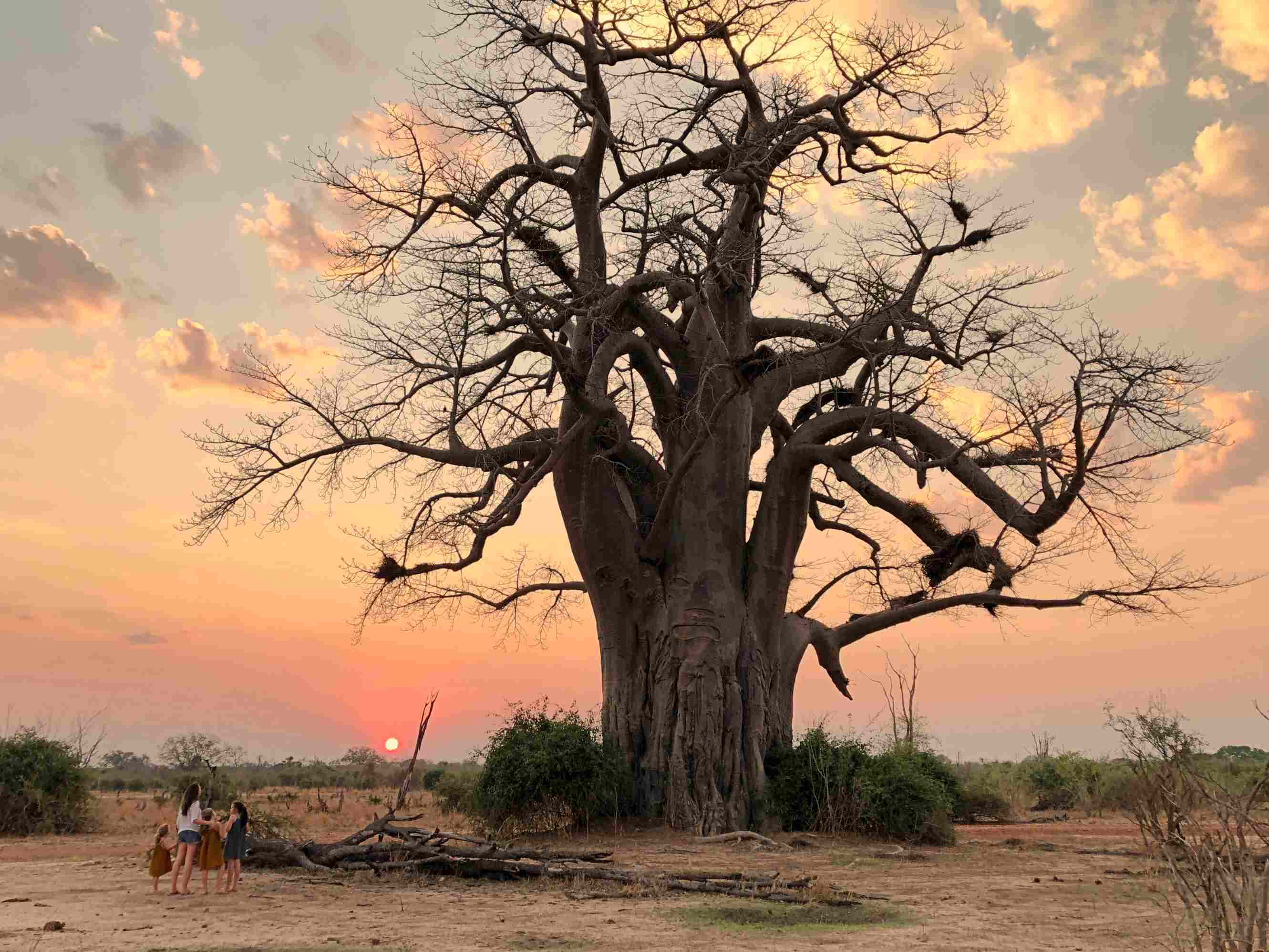 Zambie – Malawi: Voyage au coeur de l’Afrique