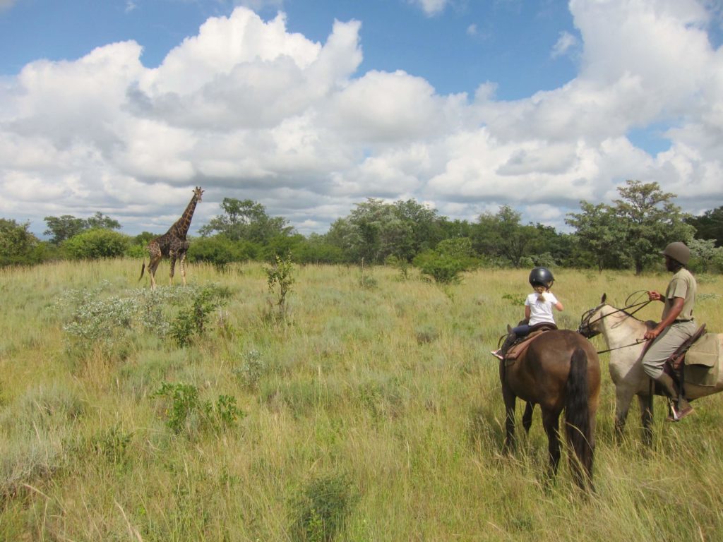 Partez pour un safari à cheval en Afrique australe