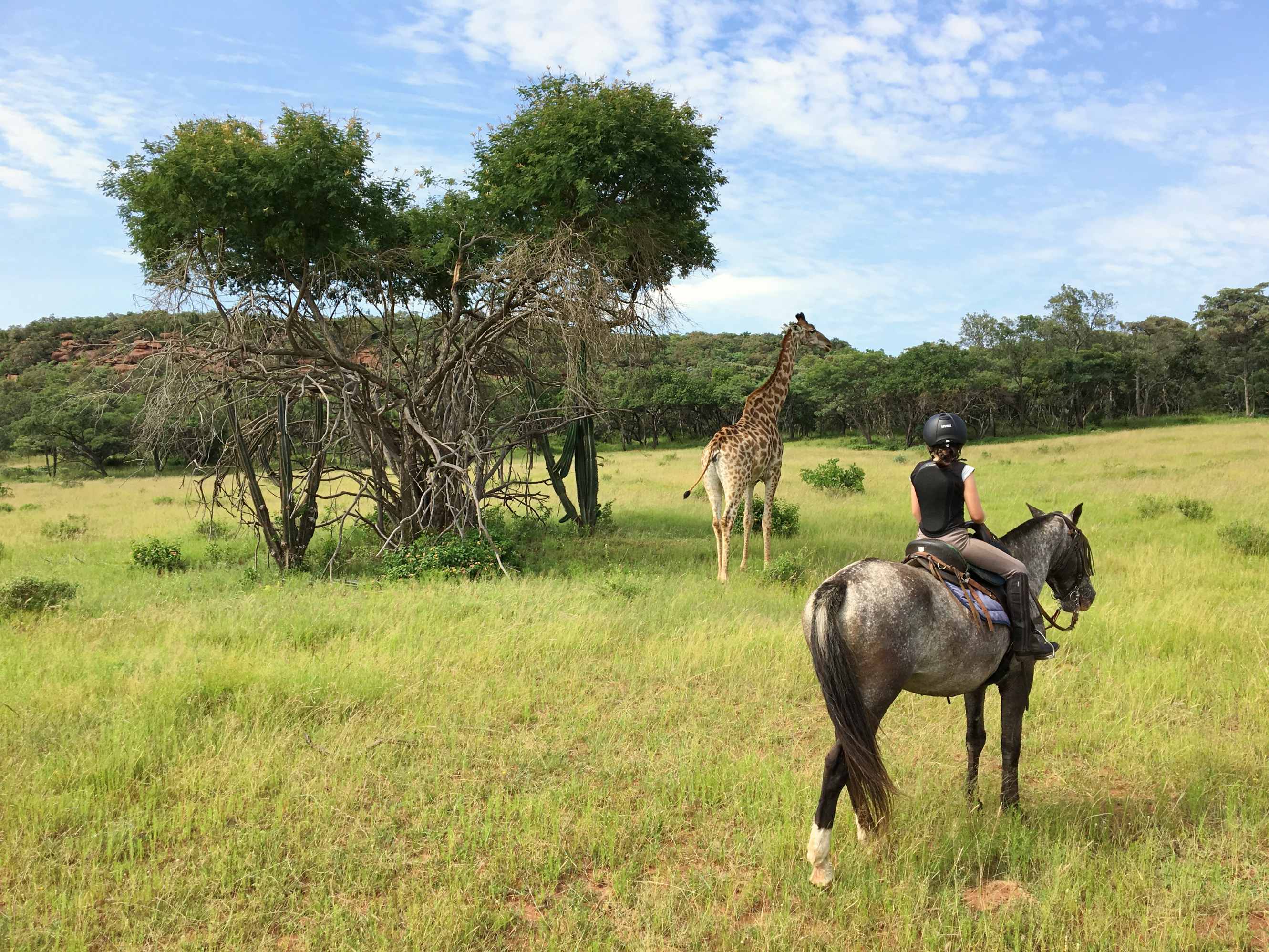 Safaris à cheval et chevauchées africaines…