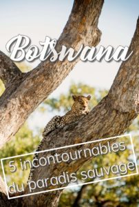 Botswana incontournables