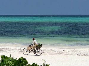 Zanzibar Guide
