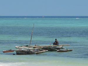 Guide Zanzibar