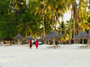 Guide Zanzibar