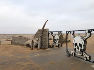 Hoanib Skeleton Coast