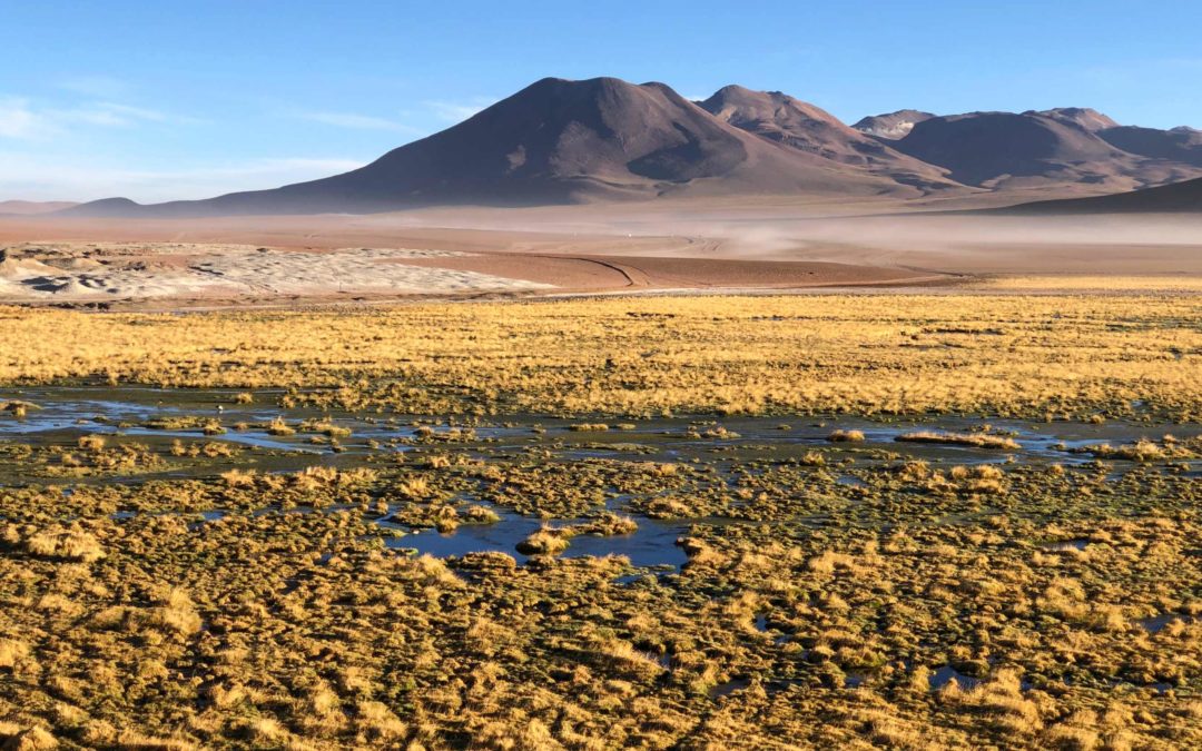 Désert d’Atacama, Chili : Le Guide!