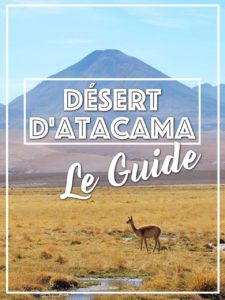Désert Atacama Guide