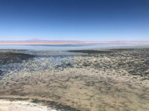 Désert Atacama